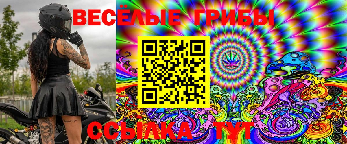 Псилоцибиновые грибы мицелий  Псилоцибиновые грибы Magic Shrooms  где найти   Балашов  Вход с VPN 