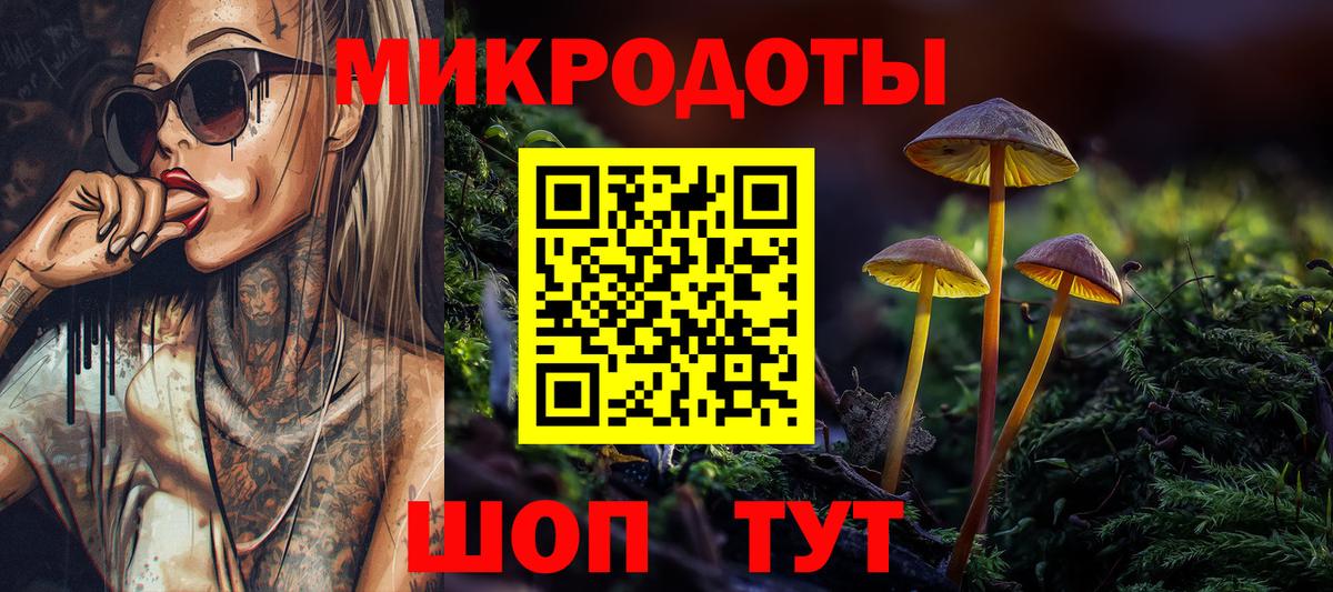 Псилоцибиновые грибы Cubensis Балашов